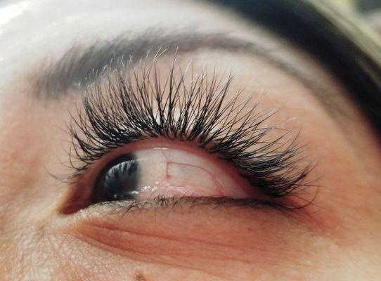 Eyelash Extension