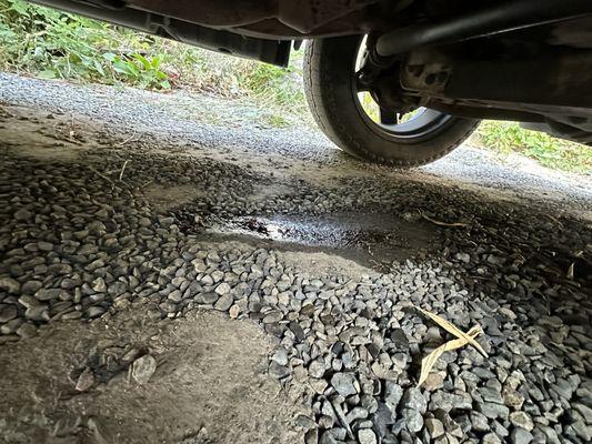 All of the oil drained out of my engine onto my driveway