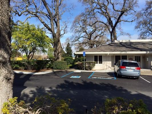 I like this office complexes large, older trees.