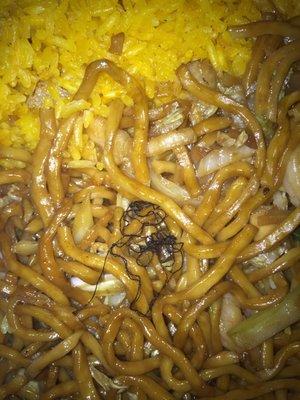 Foreign object found in our shrimp lo mein.