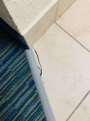 Crack in floors