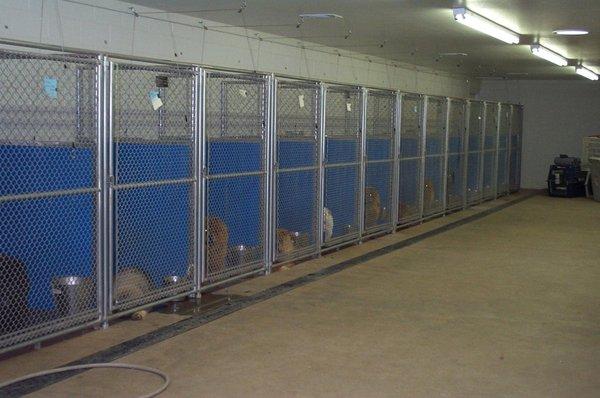 Inside view of kennel