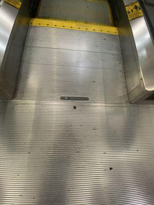 Montgomery Twinkie-M escalators, Dillard's CoolSprings Galleria (2024)