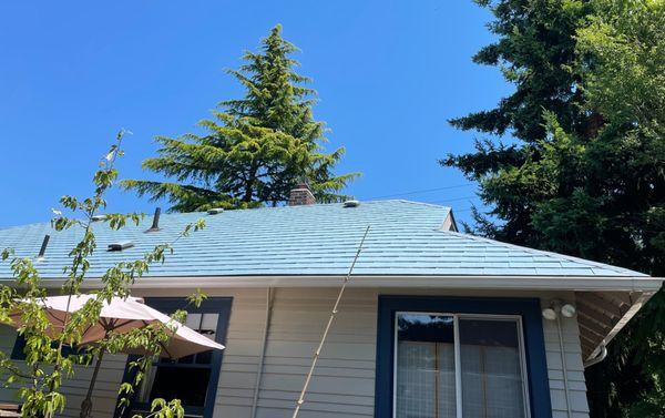 AFTER: clean, colorful -- this roof is 22+ years old!