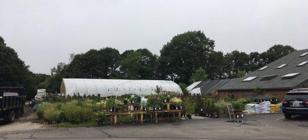 Greenhouse and plants also for sale