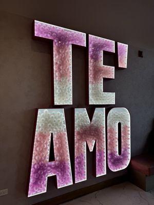 Te'amo Boba Bar - Chicago