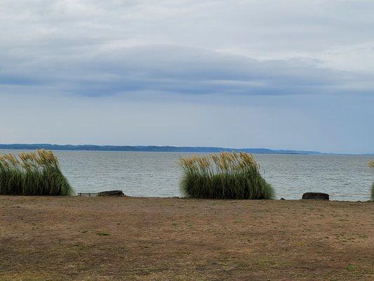 View of the beach