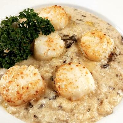 Scallop Special: Scallops over wild mushroom risotto