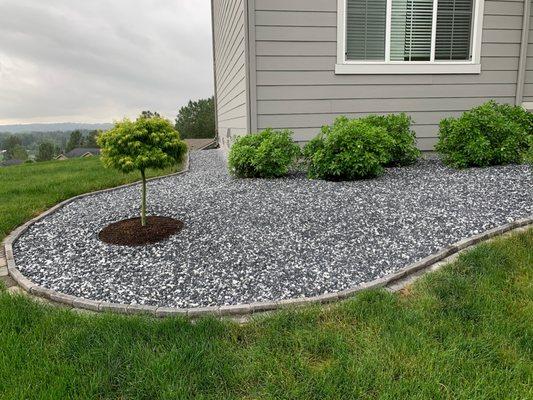 Landscaping update. Cleared out old and installed Rocks, pavers, tree, and plants