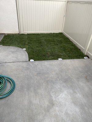 Grass laid, walkway light in place.. notice the rounded walkway they did!!