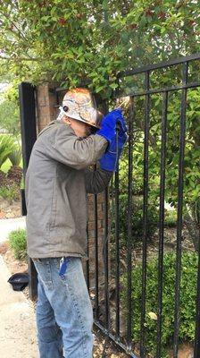 Penco Gate and Fence