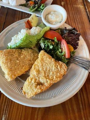 Fried Cod, Cole Slaw & Side Salad