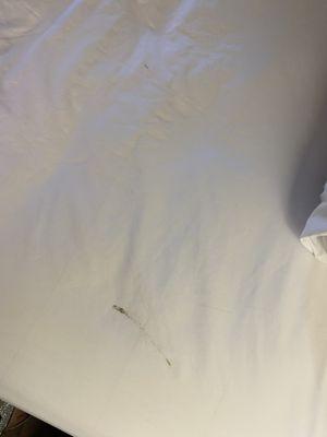 Something smeared on the sheets as soon as we got there