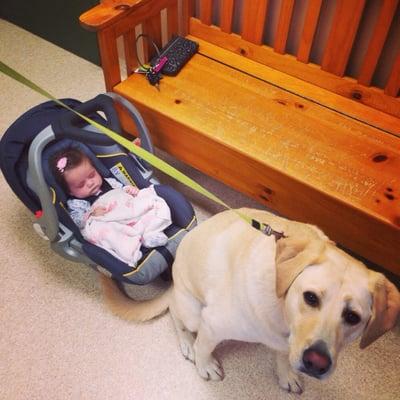 My doggy at the vet for a visit!