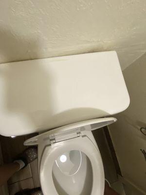 Dirty toilet