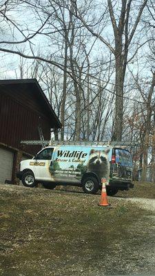 Wildlife Rescue and Control Inc.