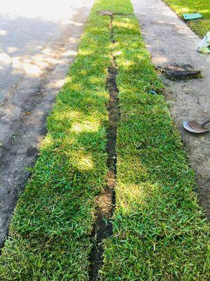 Tom's Sod Service, Inc