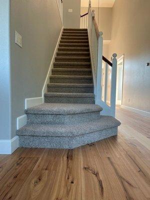 Stairs - carpet.