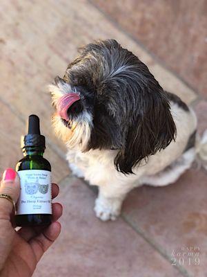 Paws & Relax (TM) is our Pet Hemp Extract (CBD) oil. Our fur baby customers LOVE the naturally sweet flavor.