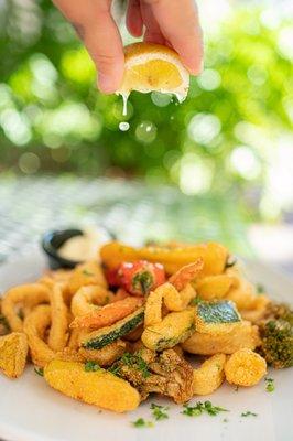 Fried Calamari