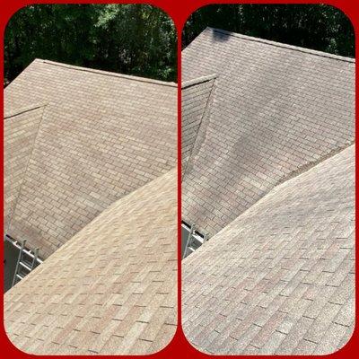 before and after picture of a roof cleaning