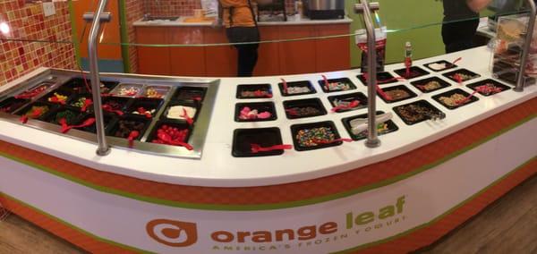 Orange Leaf Frozen Yogurt