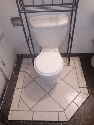 They only wanted under the toilet fixed.