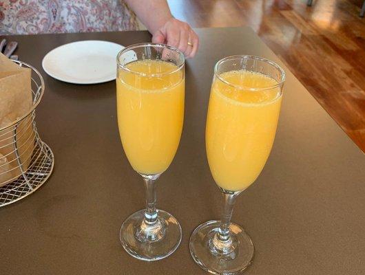 Texas Mimosas