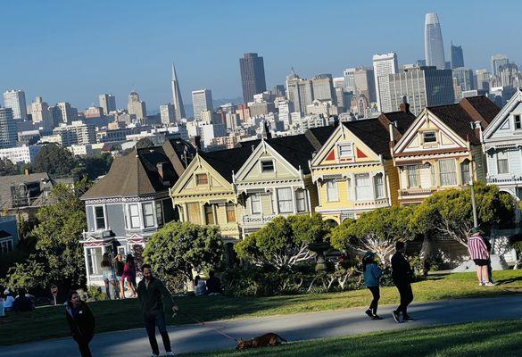 Painted Ladies with the city of San Francisco behind.