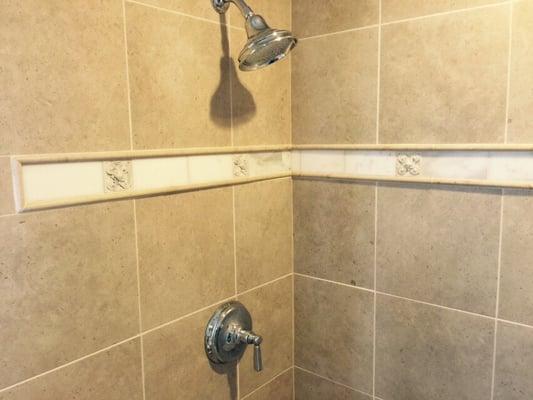 Master bath shower/bathroom remodel