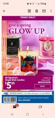 Single Wick Candle Sale Today 3/12/2024