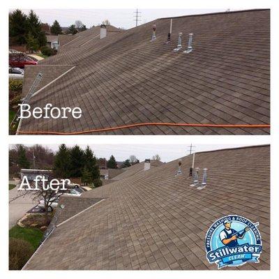 Roof Cleaning