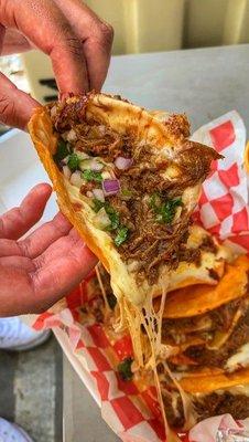 Quesabirria tacos are amazing perfect amount of meat and cheese