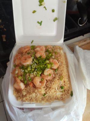 What feels like 3 pounds of Fried Rice and Shrimp.