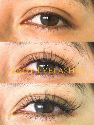 Lady eyelash