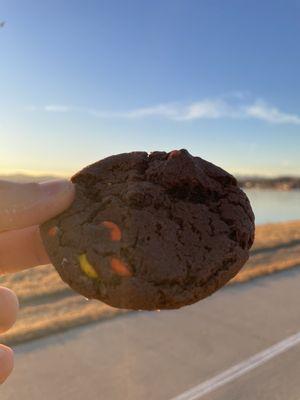 Double peanut butter chocolate cookie with m&ms