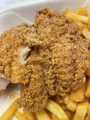 Delicious Fried 2 Piece Fish (Catfish) with Cajun Fries (F1)