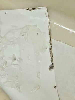 Close-up picture of the mold and grime on the slip resistant bathmat.