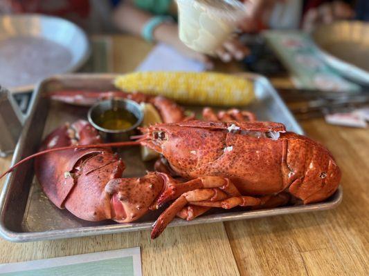 Lobster dinner