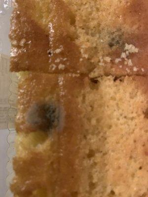 Moldy cornbread