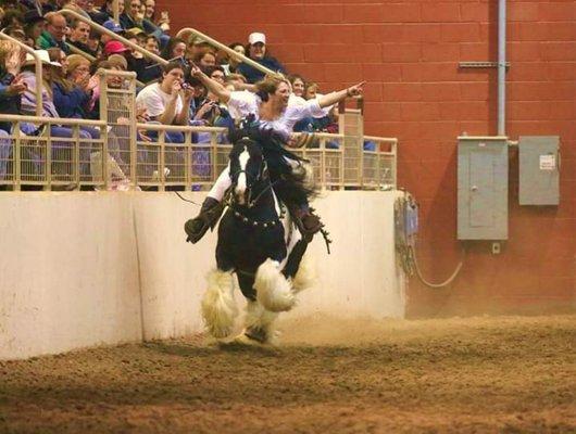 Pony playground horse obstacle course LLC