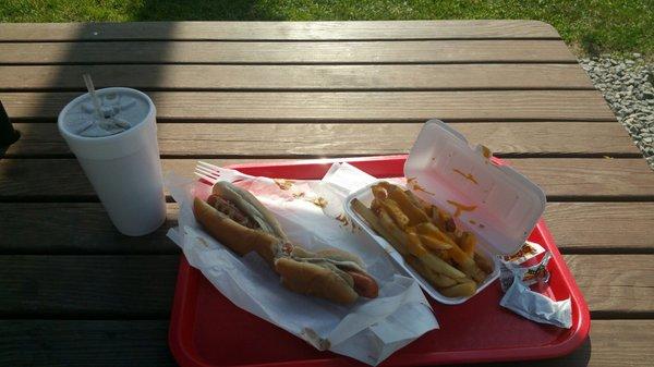 Just arrived and sitting with my foot long value meal  $7.35 for a dog, fries and soda in Styrofoam cup loaded with ice.