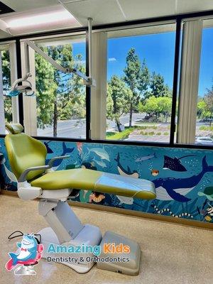 A private dental room for your child and you