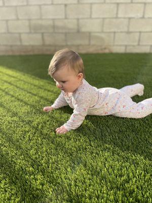 Baby likes the new turf!