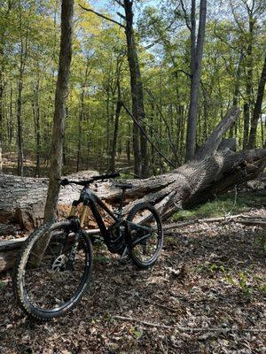 Overlook Mountain Bikes