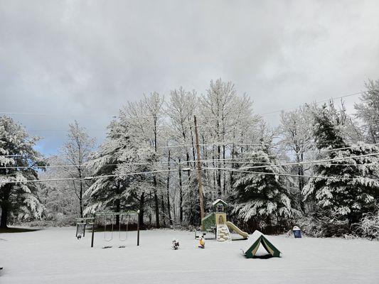 Tall Trees Apartments