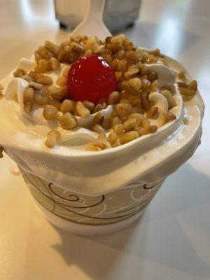 Small Hot Fudge Sundae with Bing Cherry Ice Cream