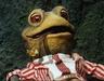 Photo of Mr Toad F.