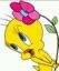 Photo of Tweety99 A.