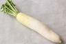 Photo of Daikon R.